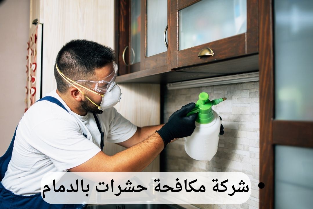 شركة مكافحة حشرات بالدمام